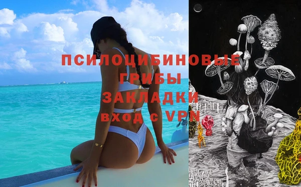 крисы Алексин