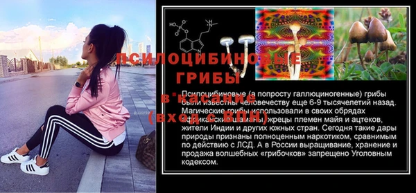 прущие крисы Алексеевка
