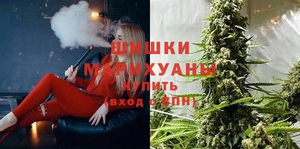 МДПВ Алзамай