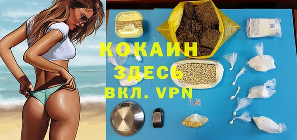 МДПВ Алзамай