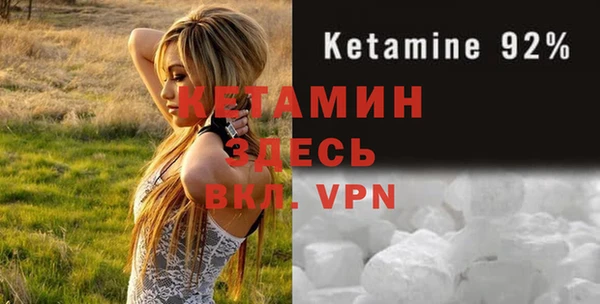 крисы Алексин