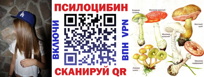 Псилоцибиновые грибы GOLDEN TEACHER  Сельцо 